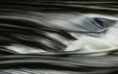 Watershed-Muskoka Watershed Council and Huntsville Art Society